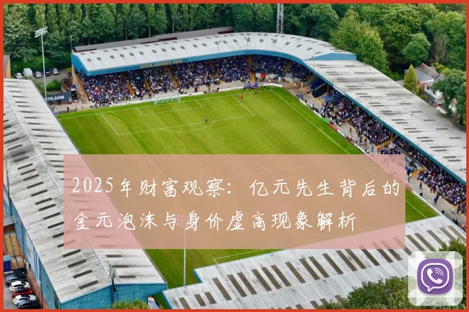 2025年财富观察：亿元先生背后的金元泡沫与身价虚高现象解析