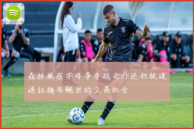 森林狼在字母争夺战之外还积极追逐拉梅洛鲍尔的交易机会