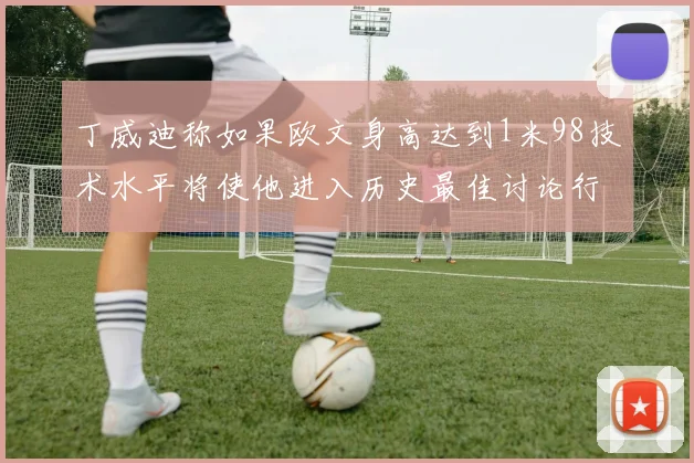 丁威迪称如果欧文身高达到1米98技术水平将使他进入历史最佳讨论行列
