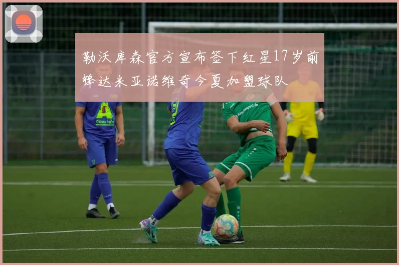 勒沃库森官方宣布签下红星17岁前锋达米亚诺维奇今夏加盟球队