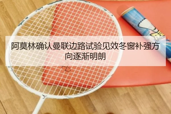 阿莫林确认曼联边路试验见效冬窗补强方向逐渐明朗 - eonsports